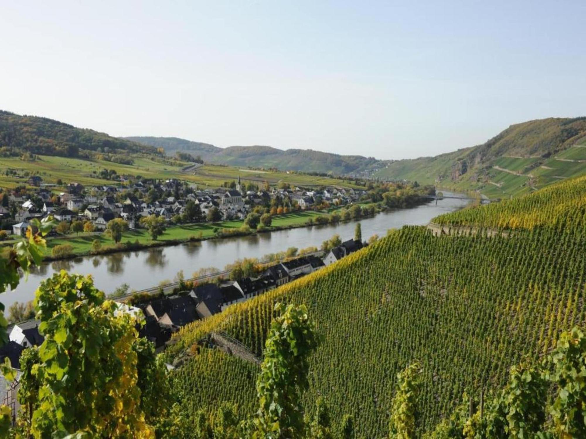 Sch Ne Wohnung In Der Moselregion 킨하임 외부 사진