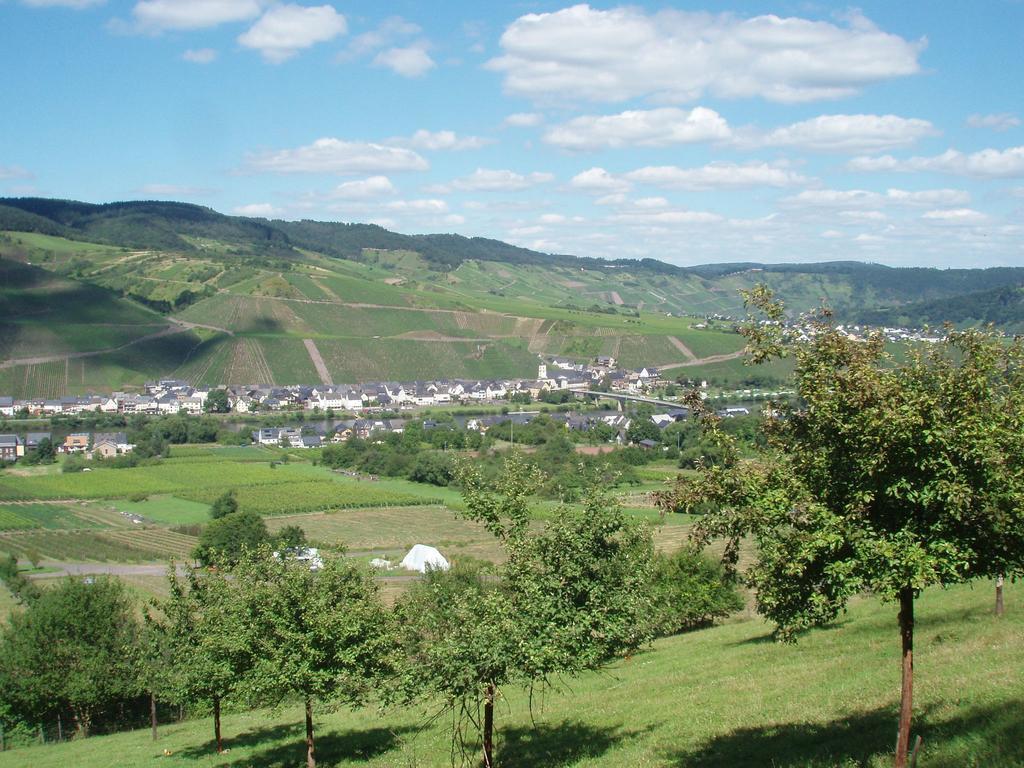 Sch Ne Wohnung In Der Moselregion 킨하임 외부 사진